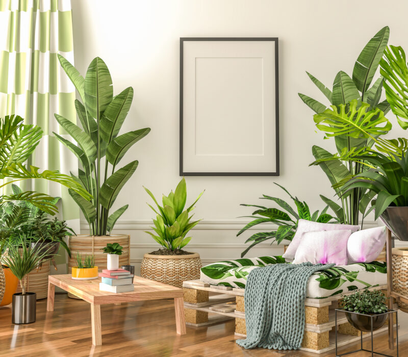 DECO
