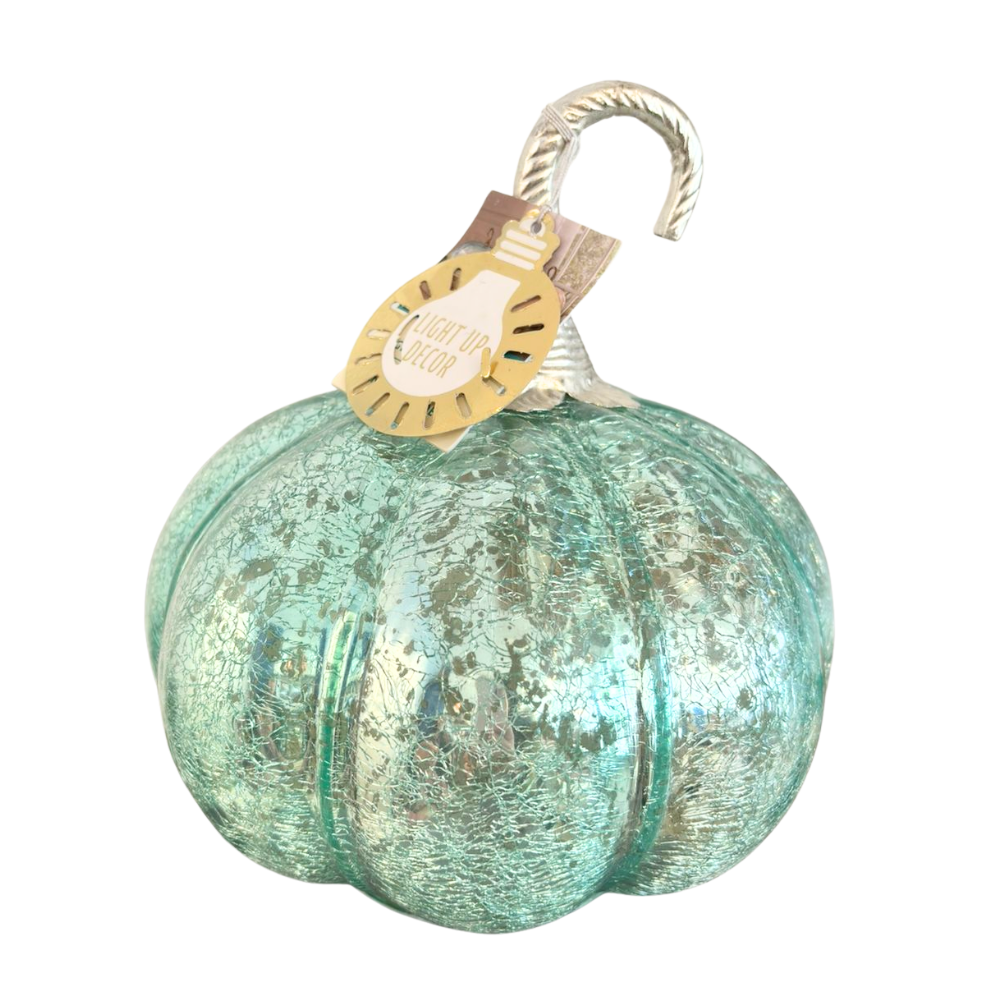 Calabaza Celeste con Luces – India
