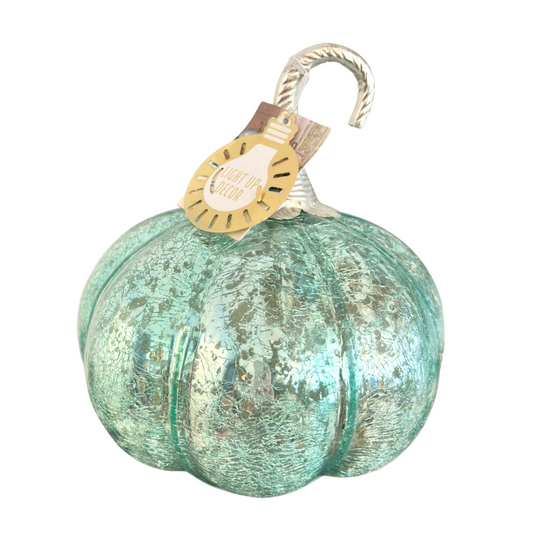Calabaza Celeste con Luces – India