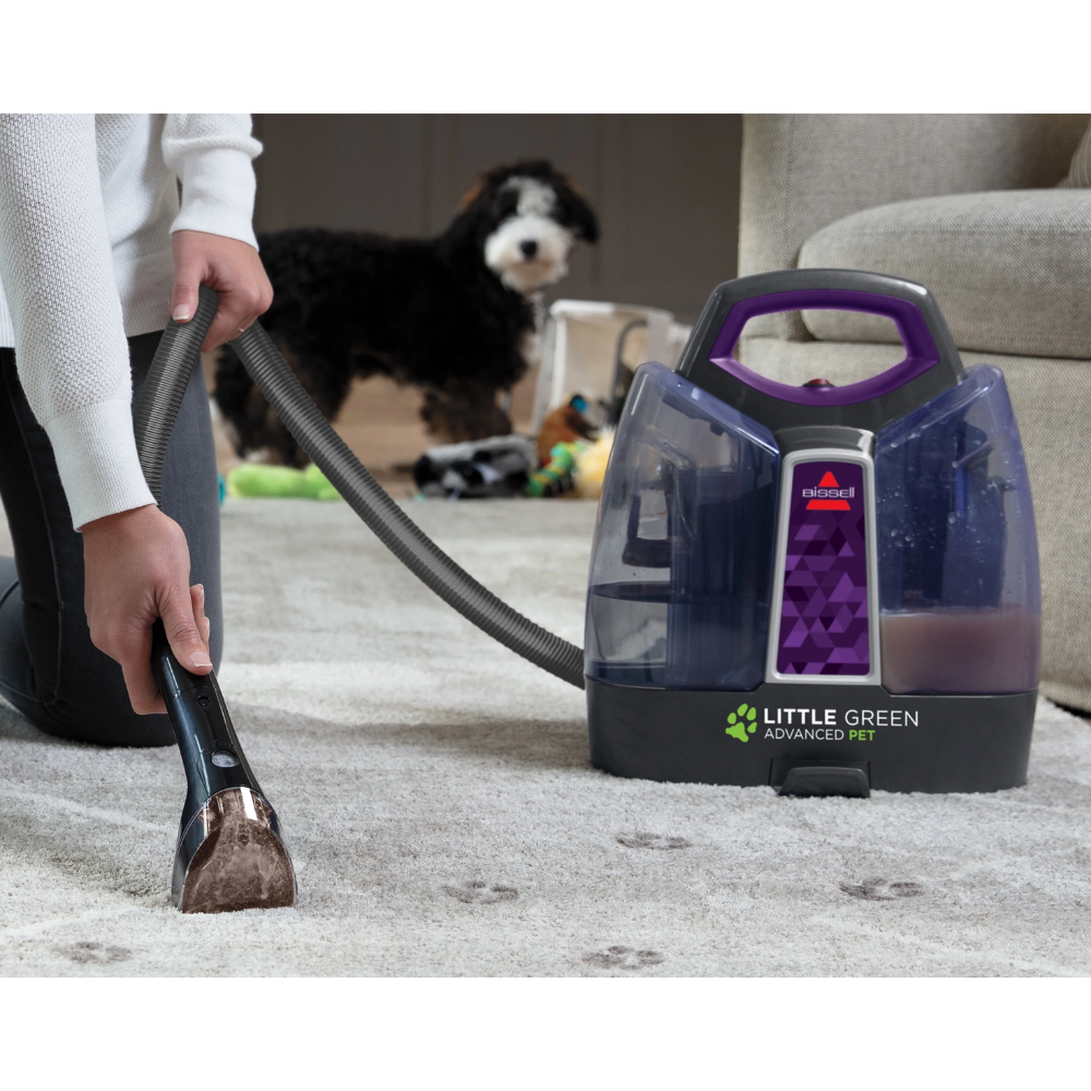 Limpiador de Alfombras Portátil para Mascotas - ProHeat 2513W