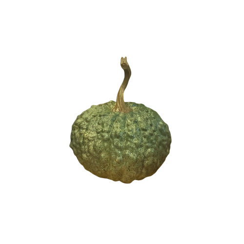 Calabaza Decorativa Verde con Tallo Café