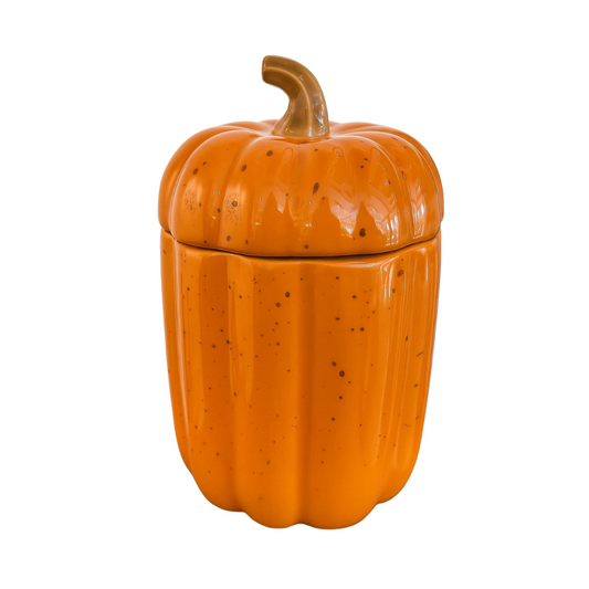 Contenedor de Calabaza Naranja – S
